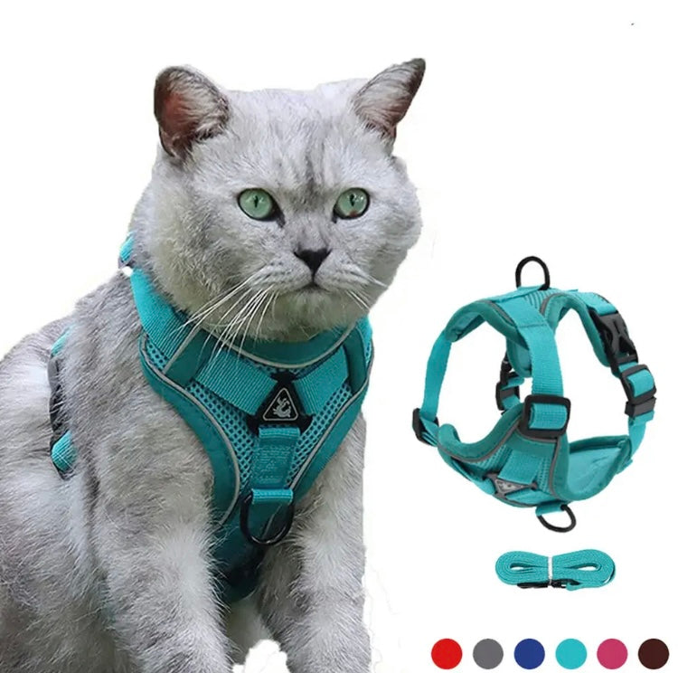 Cat leash