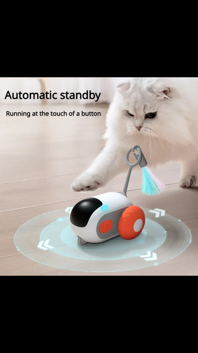 Remote control robot mouse