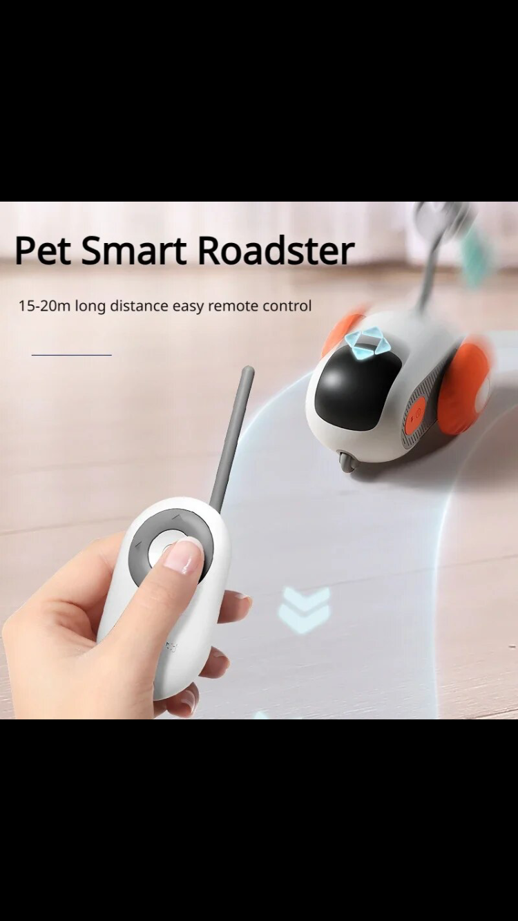 Remote control robot mouse