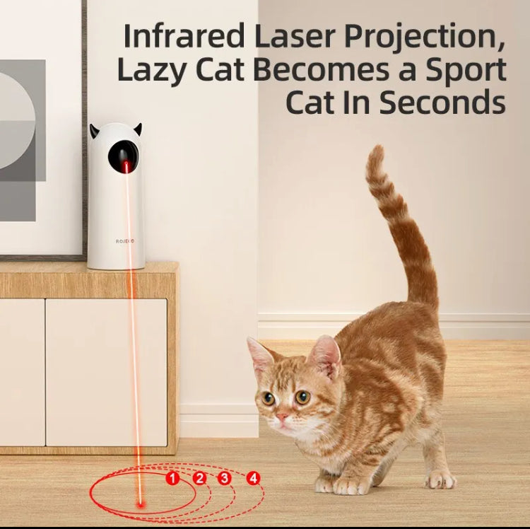 Automatic cat laser