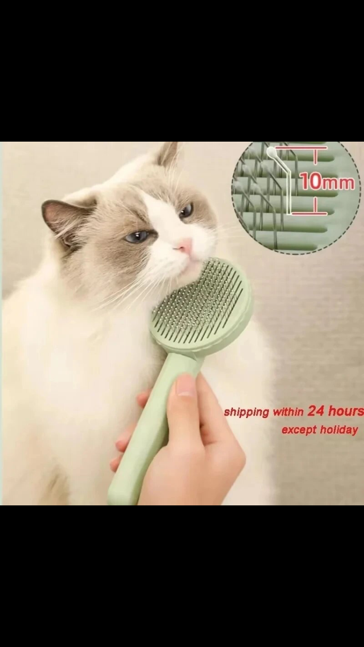 Cat brush