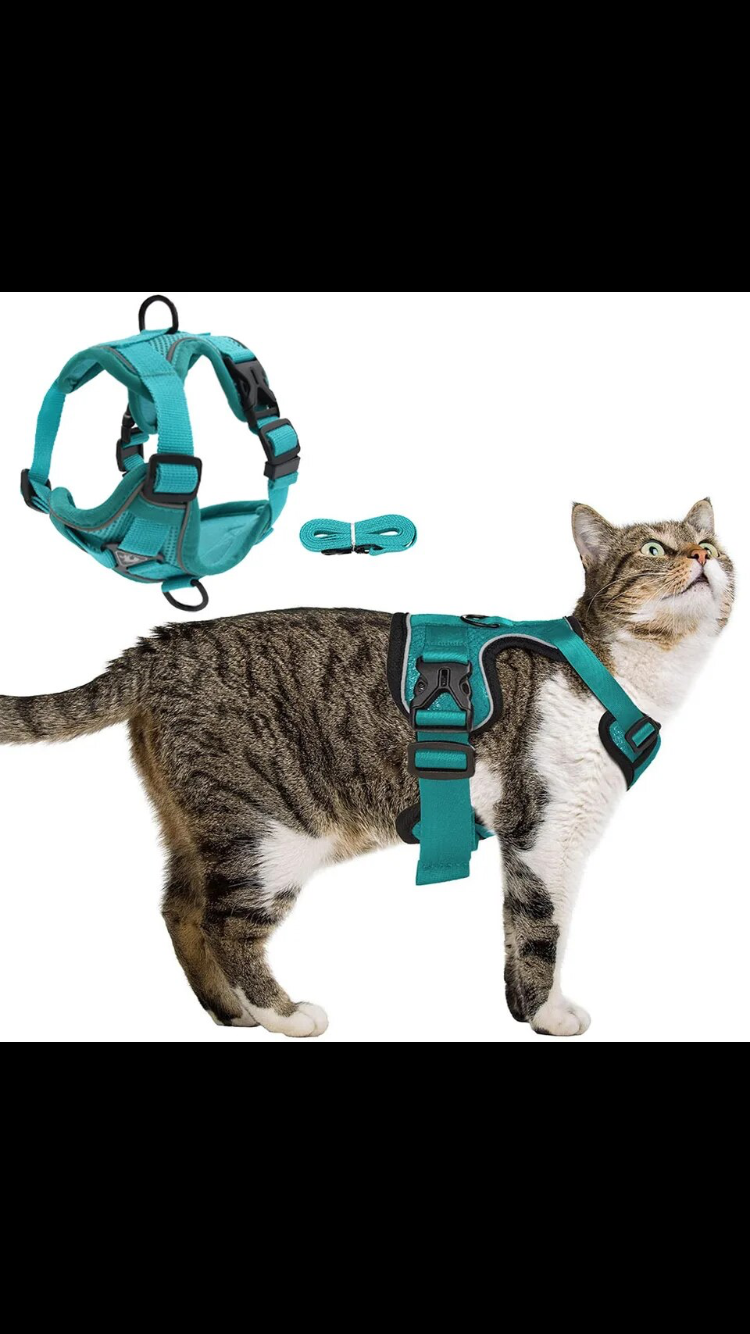 Cat leash